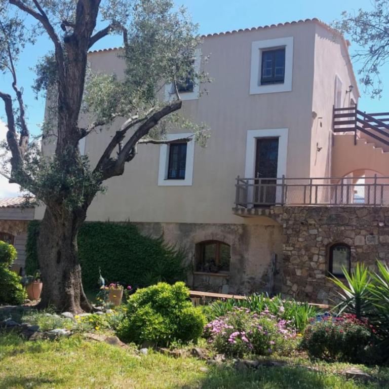 Location L'épi d'or Calvi, demeure de charme - Apartment mit 2 Schlafzimmern - 24