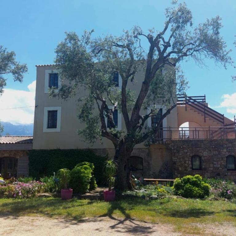 Location L'épi d'or Calvi, demeure de charme - Apartment mit 2 Schlafzimmern - 26