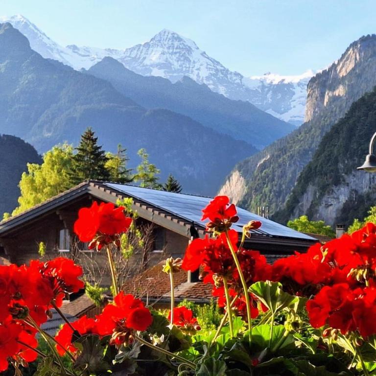 Chalet Gafri -Boutique B&B - comfort and hospitality - near Interlaken - Superior Chalet - 23