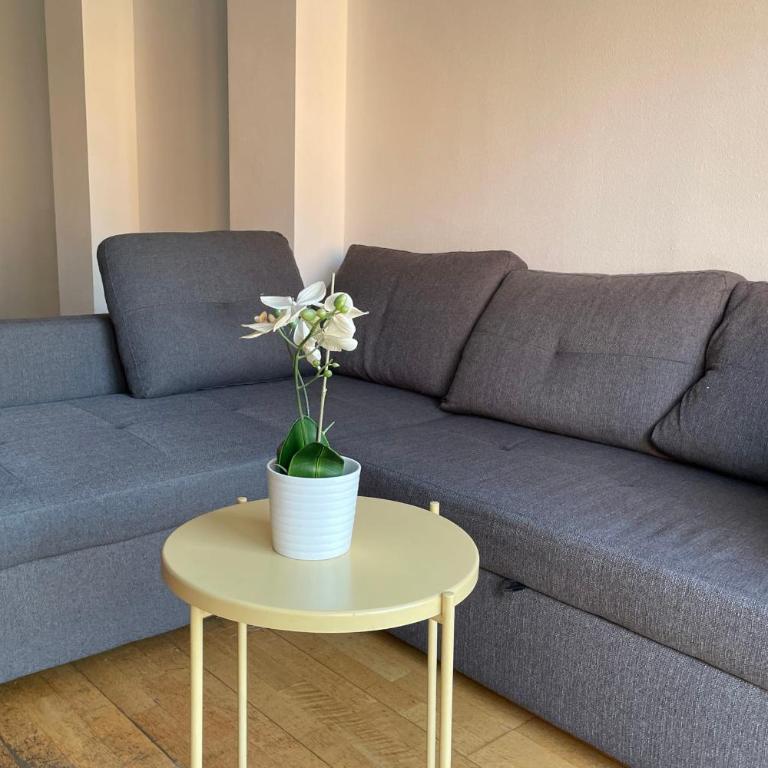 NEW! Amazing 2 bedroom apartment in Rambla del Poblenou - Two-Bedroom Apartment - 5