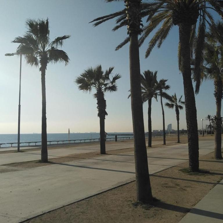 NEW! Amazing 2 bedroom apartment in Rambla del Poblenou - Two-Bedroom Apartment - 33