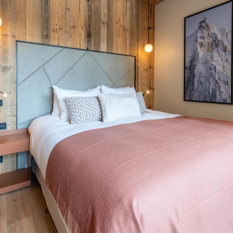 Antarès URSA 303 - luxury apartment ski inski out - Appartamento - 13