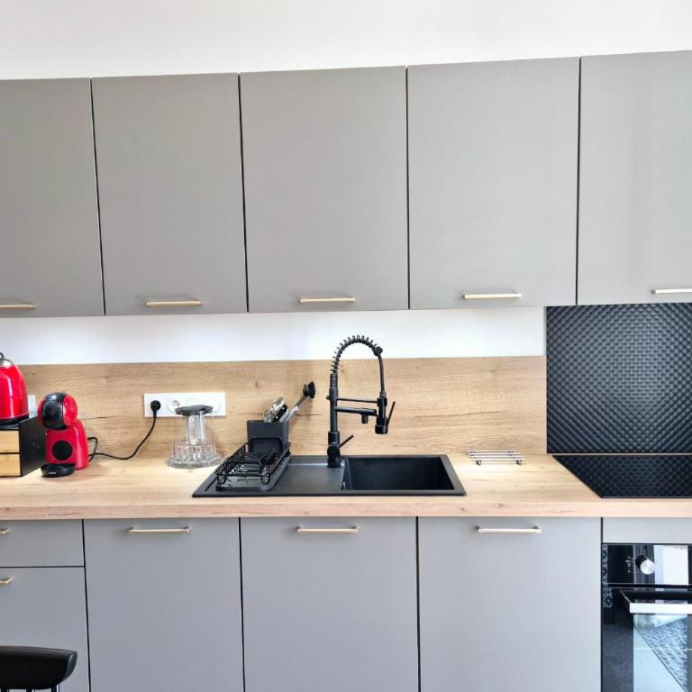 Charmant appartement moderne au pied des pistes Le Revard - Appartamento - 3
