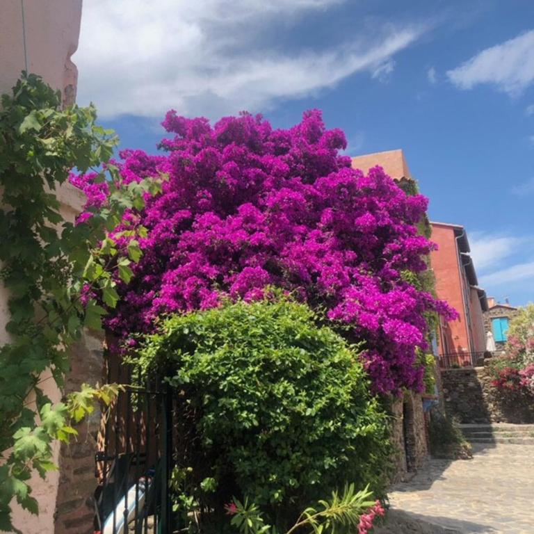 66B - Beautiful flat 800m from the sea with private parking - One-Bedroom Apartment - 16