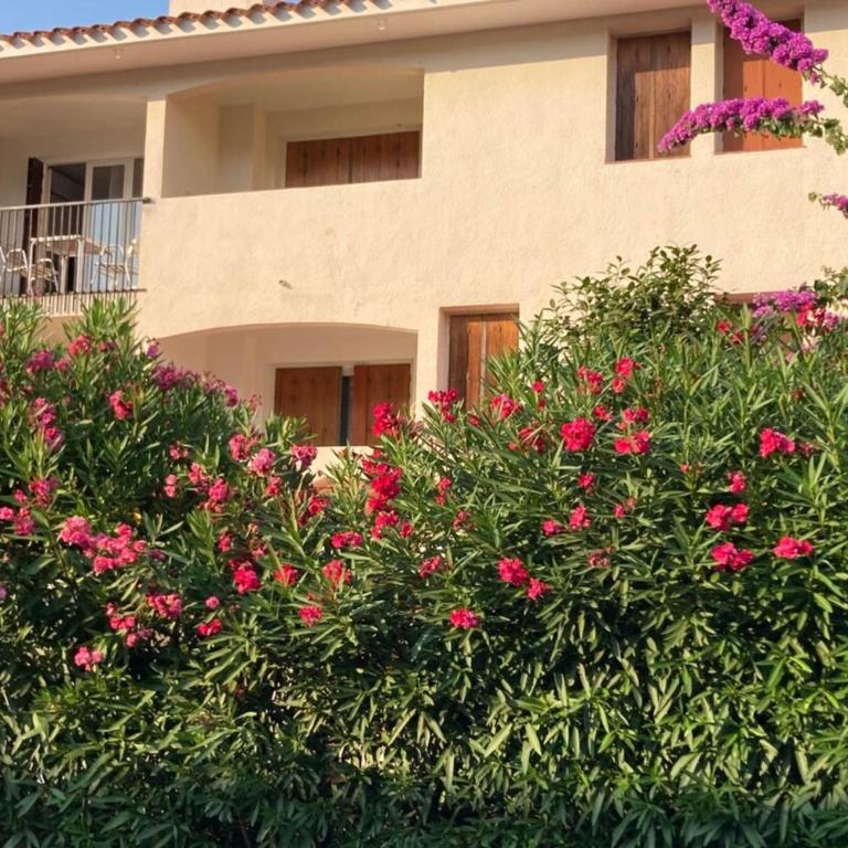 66B - Beautiful flat 800m from the sea with private parking - One-Bedroom Apartment - 14