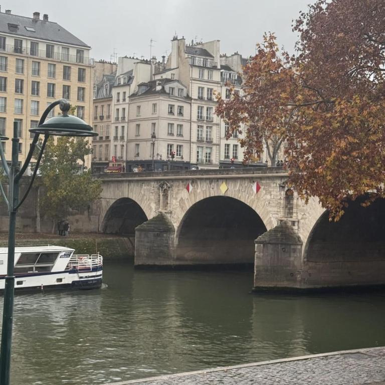 100 m with Seine view Marais near Notre-Dame - Appartement - 20