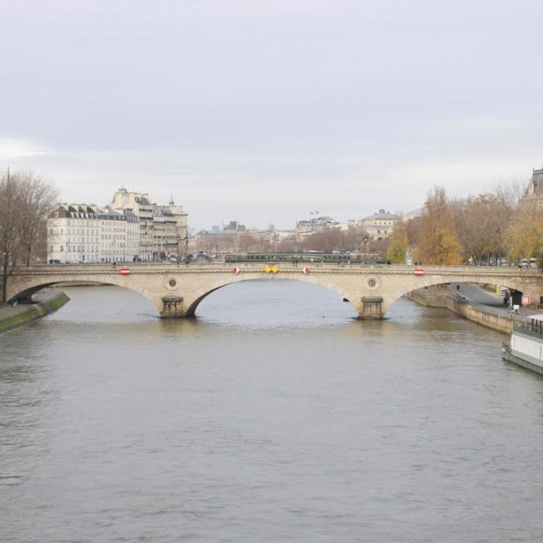 100 m with Seine view Marais near Notre-Dame - Appartement - 22