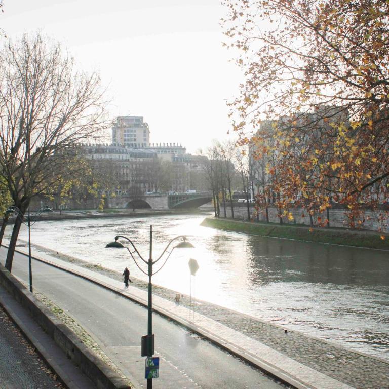 100 m with Seine view Marais near Notre-Dame - Appartement - 21