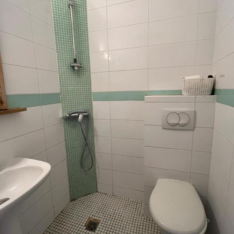 Bright studio in Lyon ideal for two people - Monolocale - 15