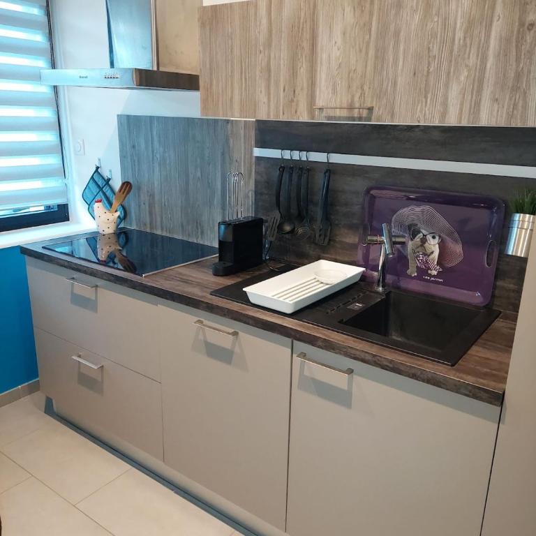 Petit cocon aux portes de la vieille ville garage gratuit sur demande - Appartement 2 Chambres - 41