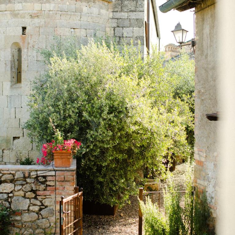 Fattoria San Donato - Superior Apartment - 5