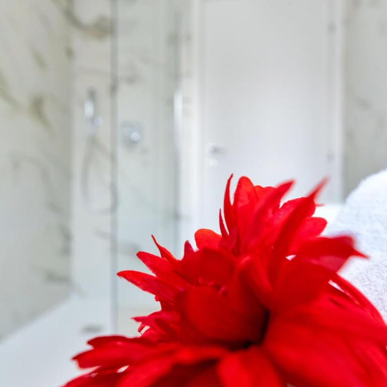 Alessia's Flat- Borgo Palazzo - Appartamento Familiare con 2 Camere da Letto - 24