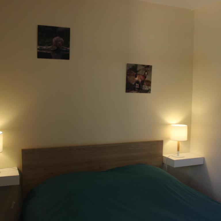 Les biches - Maison 2 Chambres - 8