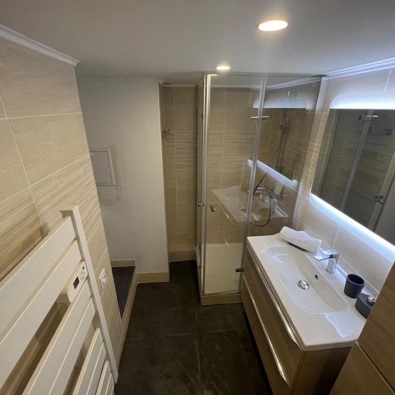 36 Vaise - 1 Bedroom - Valmy - Appartement 1 Chambre - 12