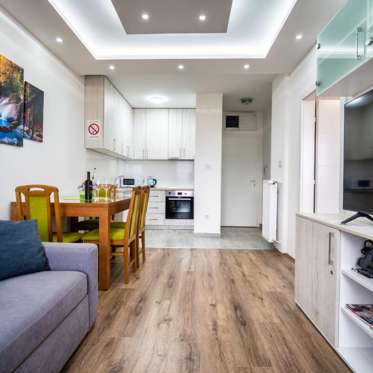 Renome apartmani - Apartman sa 1 Spavaćom Sobom i Pogledom na Park - 13