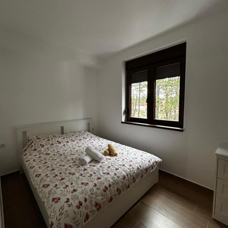 Divčibarski Zagrljaj - Apartman sa 1 Spavaćom Sobom - 2