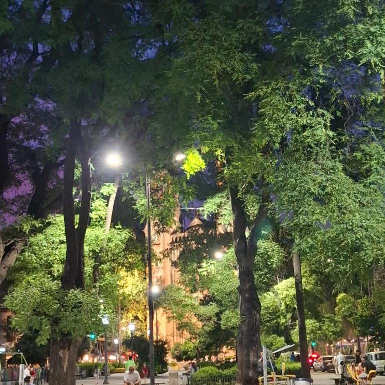 Departamento Plaza Güemes, estación Bulnes a pasos de alto Palermo, Jardín Botánico y La Rural - Apartamento de 1 dormitorio - 9