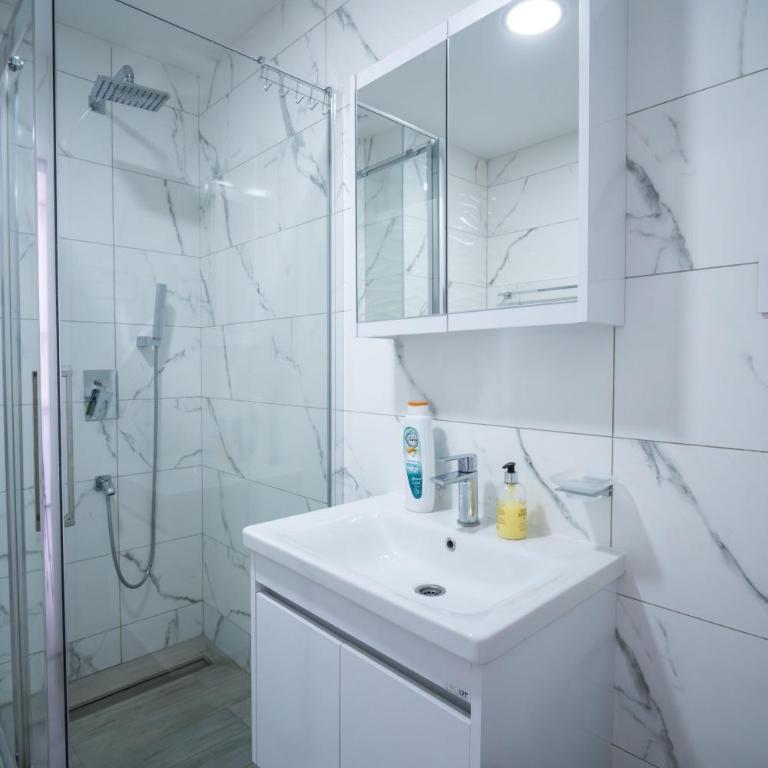 Renome apartmani - Apartman sa 1 Spavaćom Sobom i Pogledom na Park - 3