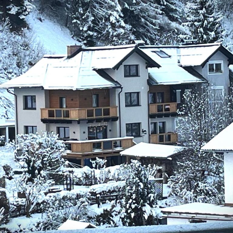Apartment Bergblick - Apartment mit 1 Schlafzimmer - 60