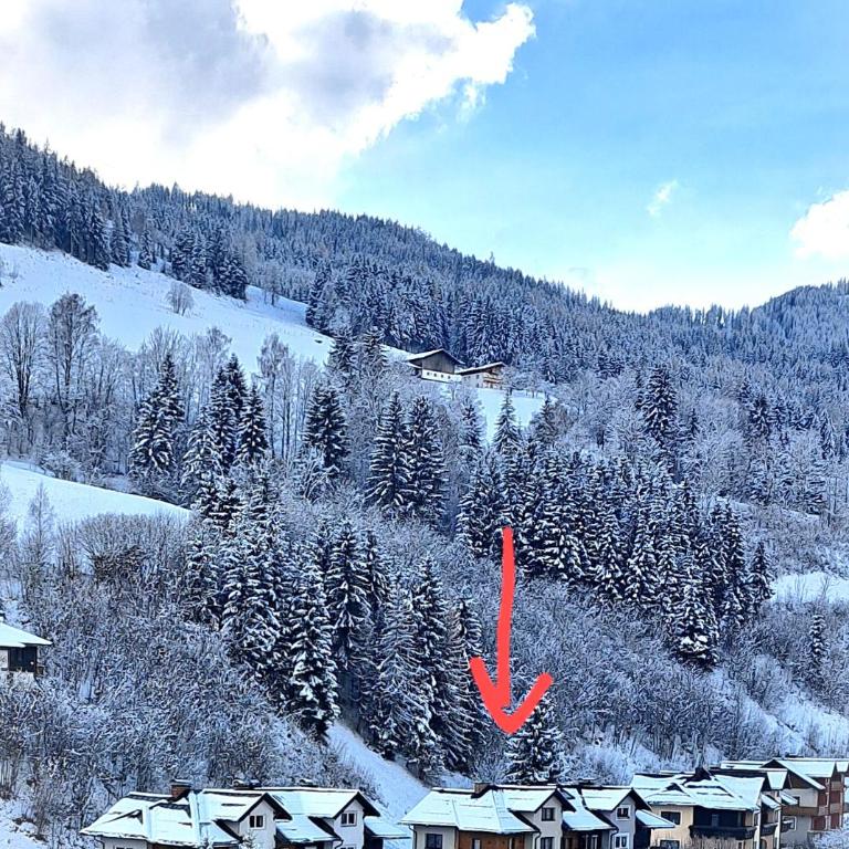 Apartment Bergblick - Apartment mit 1 Schlafzimmer - 61