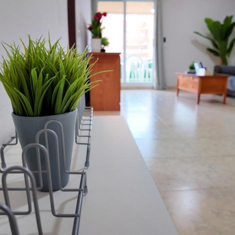 Apartalux Magic Paradise - Apartamento de 2 dormitorios - 12