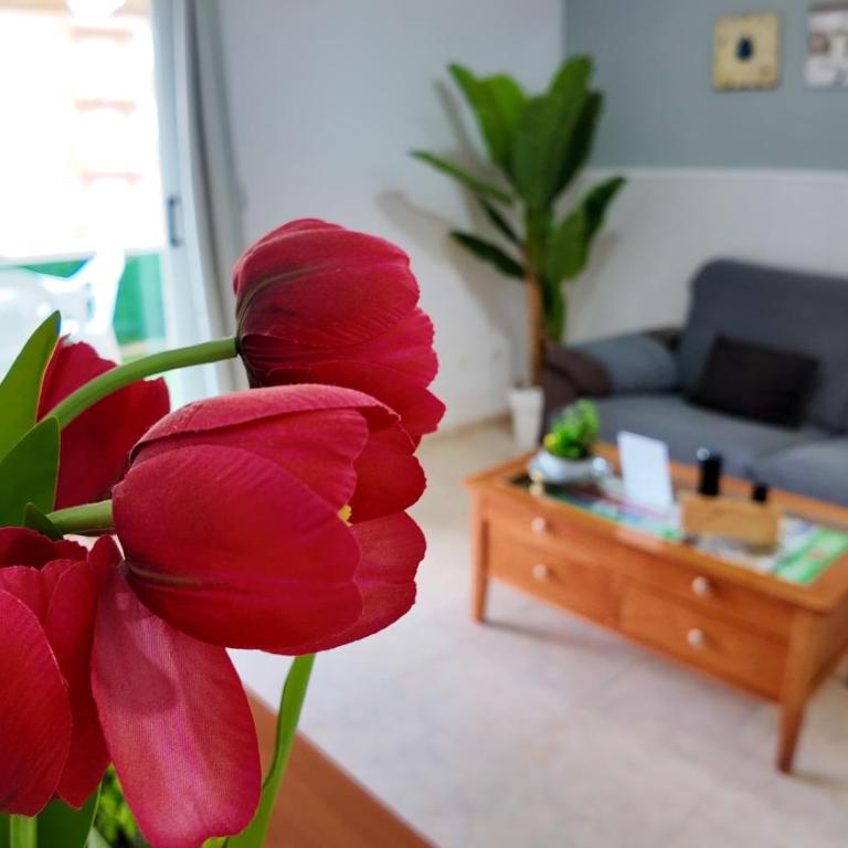 Apartalux Magic Paradise - Apartamento de 2 dormitorios - 17