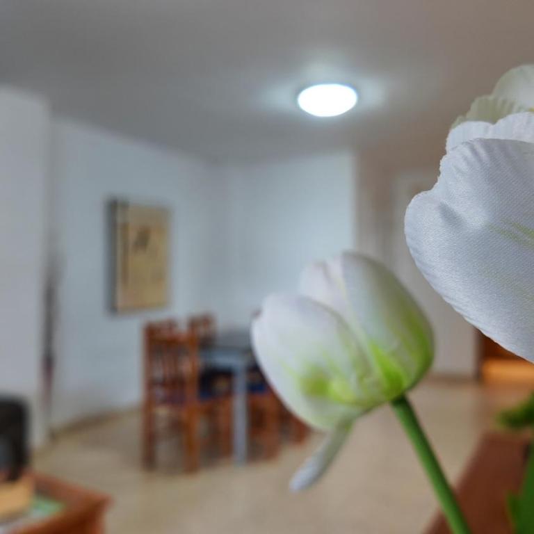 Apartalux Magic Paradise - Apartamento de 2 dormitorios - 18