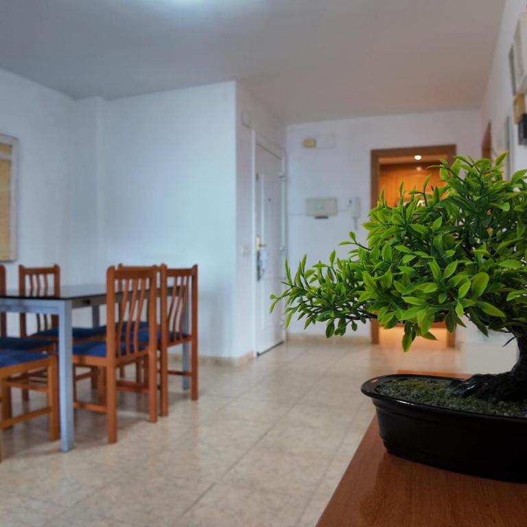 Apartalux Magic Paradise - Apartamento de 2 dormitorios - 13