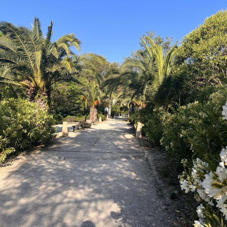 SA020-D228 Appt 2 pièces - 4 personnes - SAINT AYGULF - Apartment mit 1 Schlafzimmer - 17