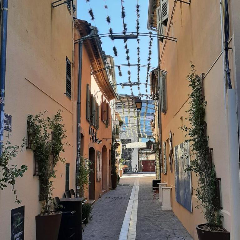 Appartement climatisé centre ville, proche plages Saint Raphaël et Fréjus avec ascenseur - Appartamento con 1 Camera da Letto - 34