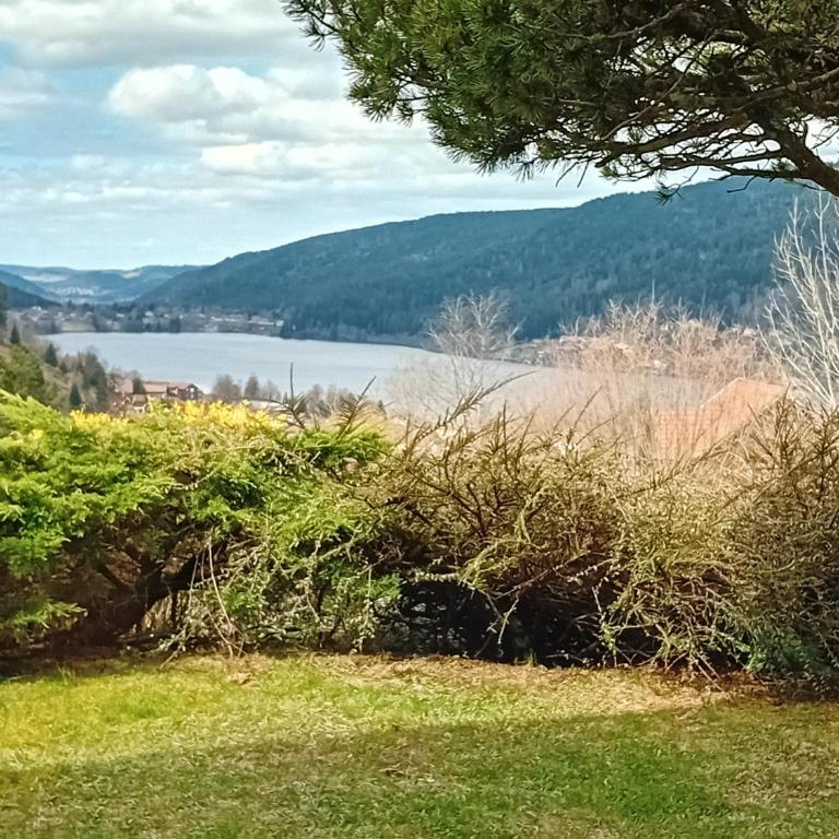 Chalet Sunny Hill Vue lac panoramique à Gérardmer - Maison 3 Chambres - 34