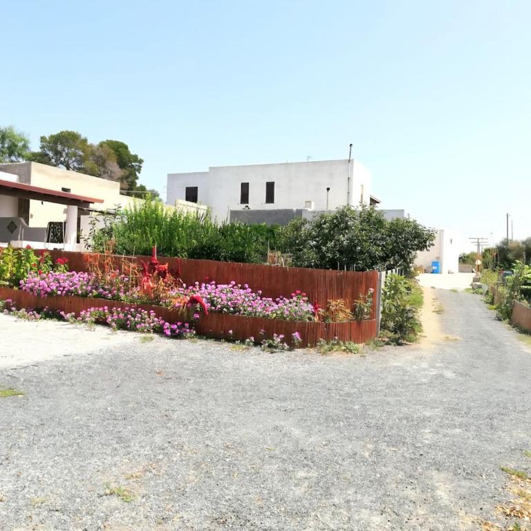 Casa Alicudi - Appartamento con 1 Camera da Letto - 30