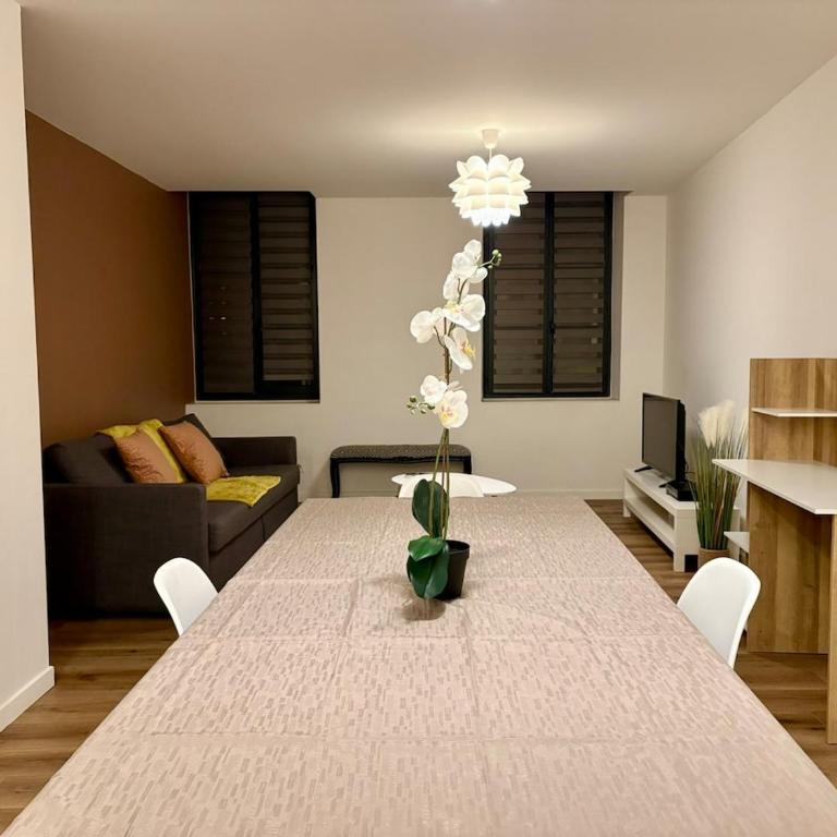 La Loge d'Ingres - T3 Center & Montauban Hospital - Appartement 2 Chambres - 10