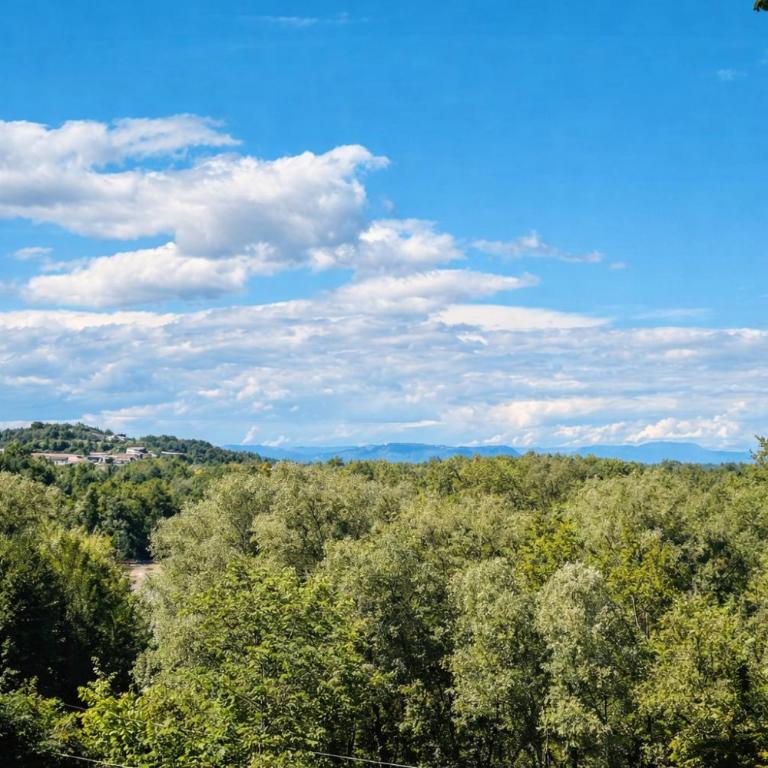 Georgi Schloss - Boutique Hotel - Annex Double Room - 8