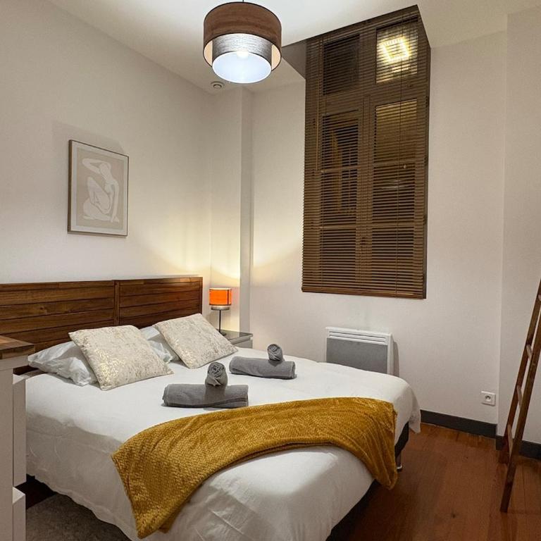 Le Blin-Thomas - Montauban's Historic Heart - Appartement 3 Chambres - 5