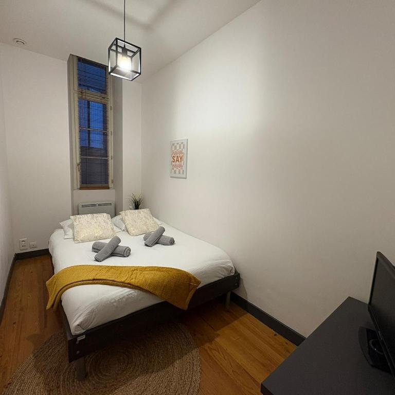 Le Blin-Thomas - Montauban's Historic Heart - Appartement 3 Chambres - 7