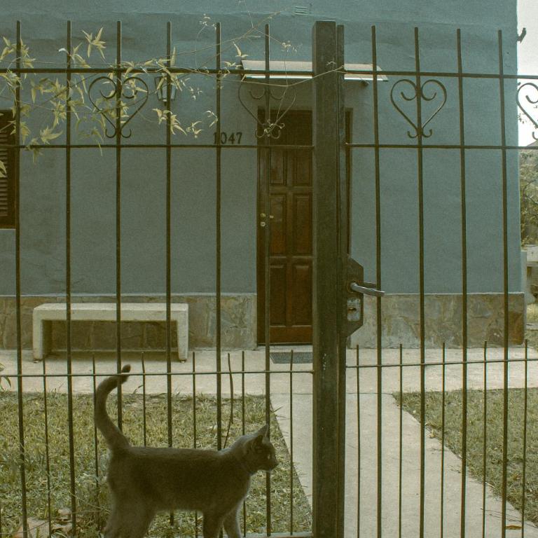 Ave del Paraíso - Casa de 2 dormitorios - 4