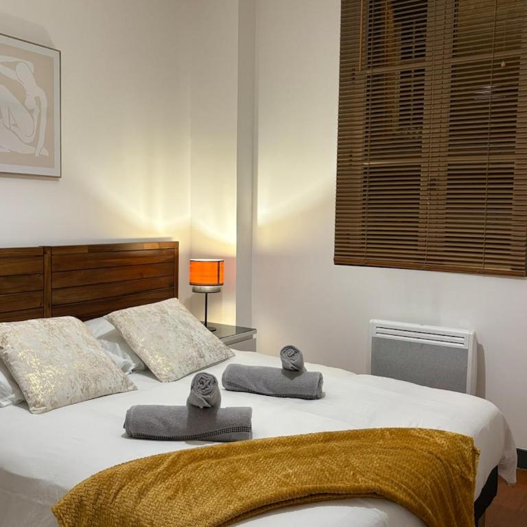 Le Blin-Thomas - Montauban's Historic Heart - Appartement 3 Chambres - 19