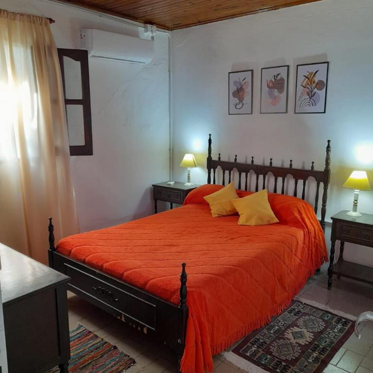 Ave del Paraíso - Casa de 2 dormitorios - 15