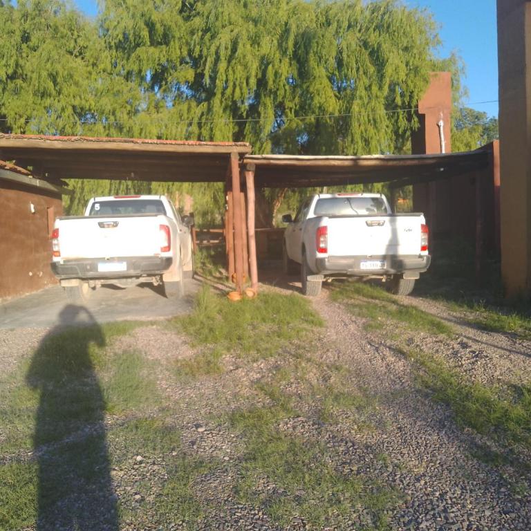 Cabaña El Cardón,casita en el campo quebradeño - Casa de 2 dormitorios - 4