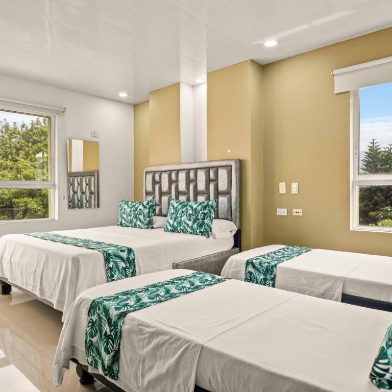 Aparta Hotel EcoSuite - Estudio Superior - 1