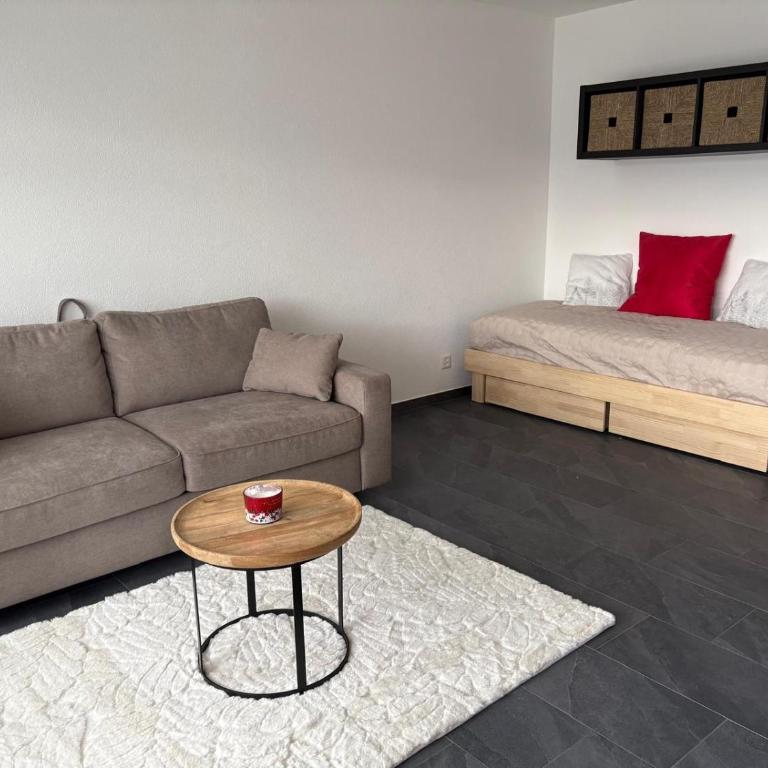Studio rénové Ovronnaz chalet Orion - Appartement 1 Chambre - 2