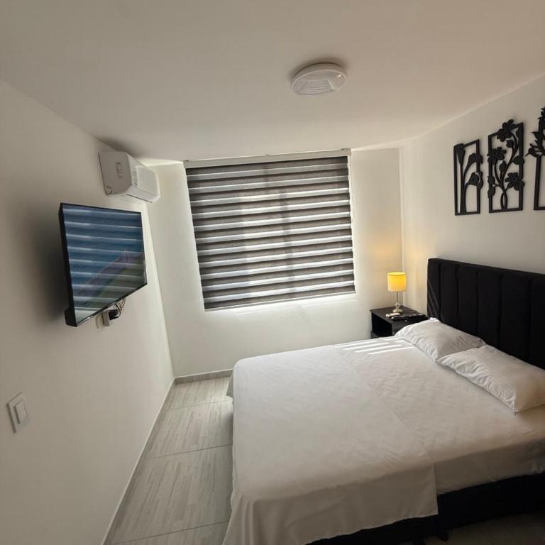 Lindo apartamento - Three-Bedroom Apartment - 8