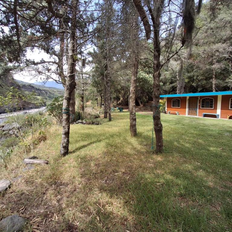 The Lookout Hideaway Cabin - Four-Bedroom Vacation Home - 18