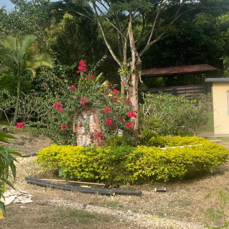 Villa Privada con piscina soleada - Two-Bedroom Villa - 36