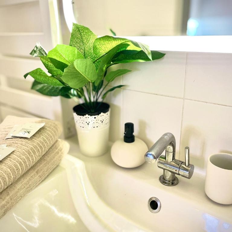 " Loft Languedoc " Mezzanine - Carmes - Wi-Fi - Appartamento con 1 Camera da Letto - 16