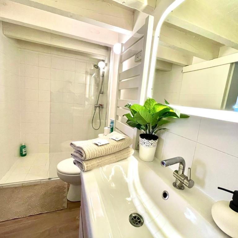 " Loft Languedoc " Mezzanine - Carmes - Wi-Fi - Appartamento con 1 Camera da Letto - 14