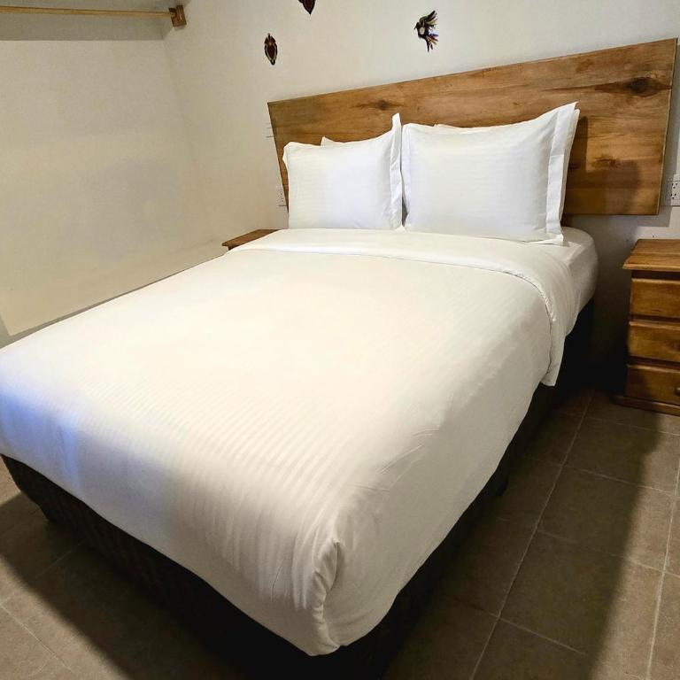 Casa en barrio Jalatlaco - Appartement 1 Chambre - Non-Fumeurs - 17