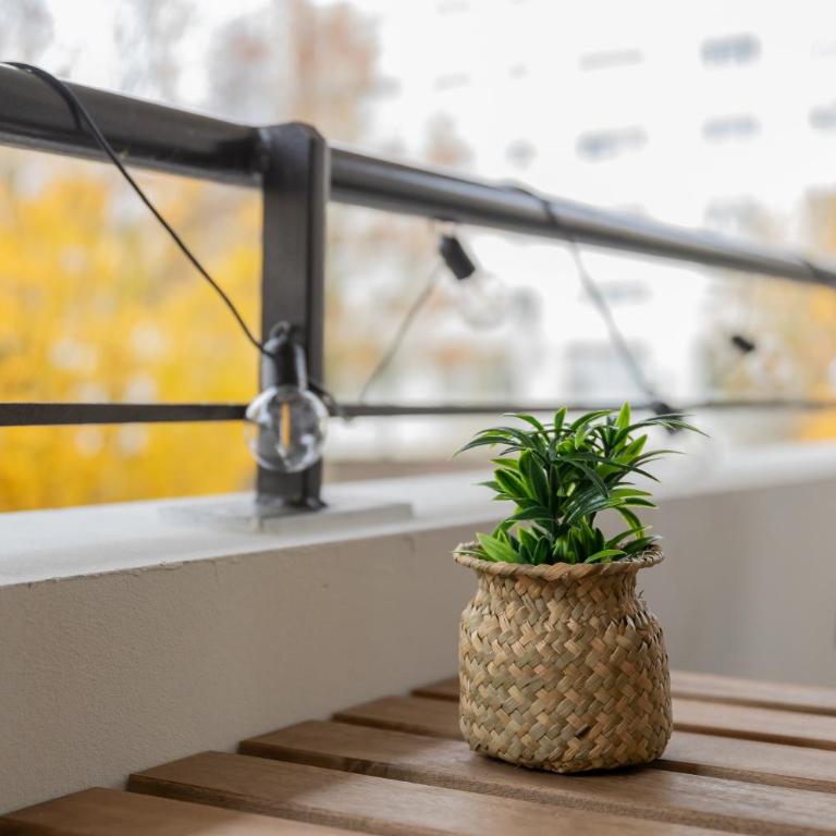 Metz - Studio cosy rénové -Terrasse & Parking privé - Studio with Terrace - 11
