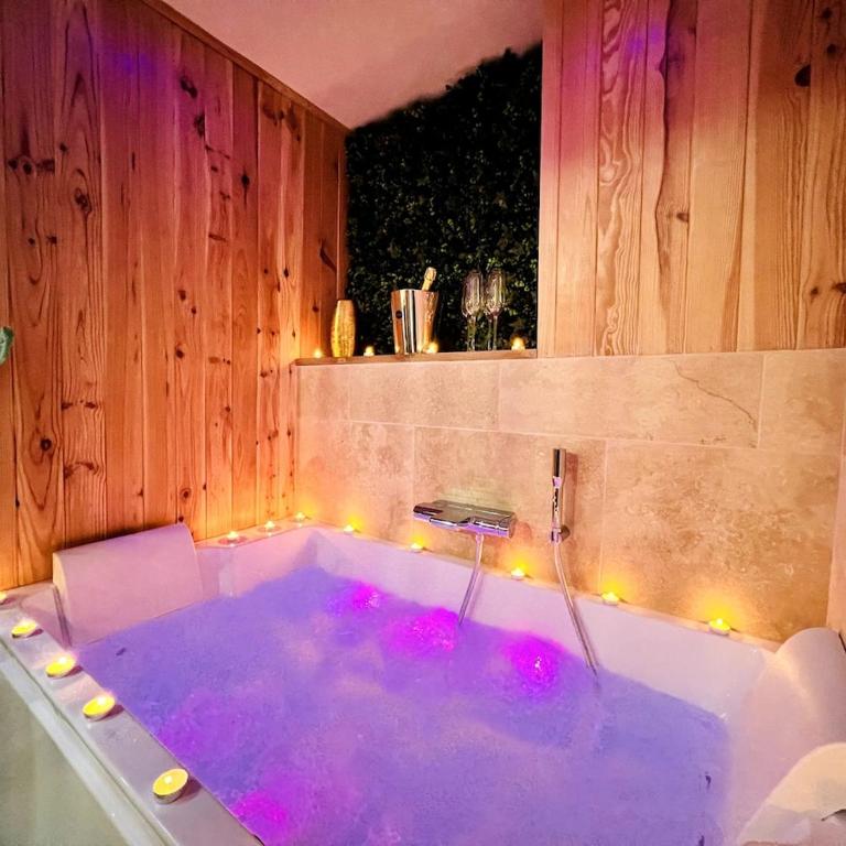 7 Inkermann - Love Room Spa & Sauna - Charpennes - One-Bedroom Apartment - 4